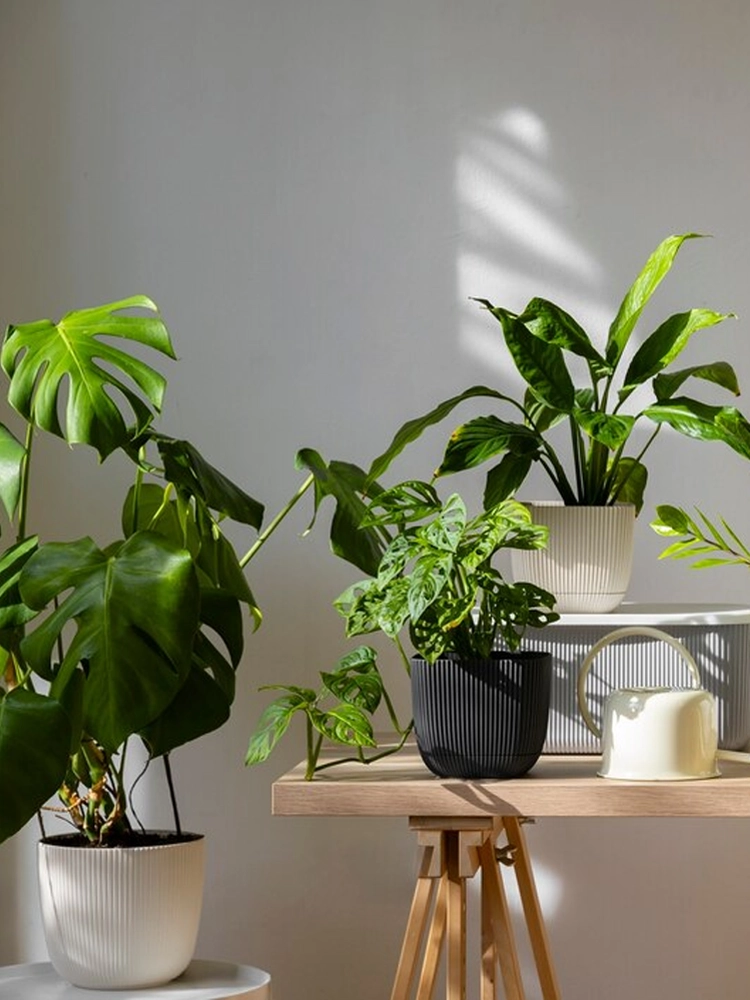 Beautiful landscaped outdoor space